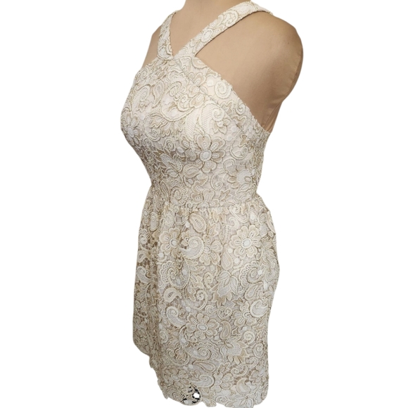 CLUB MONACO "Doina" Cream & Gold  Lace Halter Dress - Size 10 - Picture 7 of 15